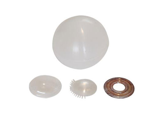 �����w����Ĥ����Ĥ�������w