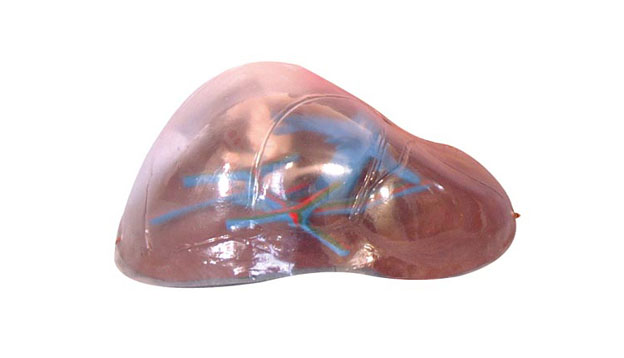 ͸���ζ�ģ��