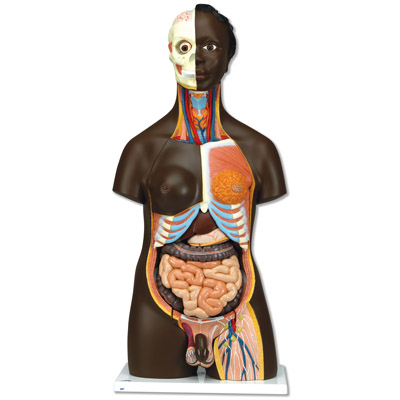 �������|����������24����