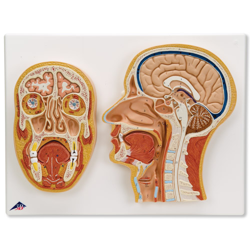 �^�в���ǰ��������